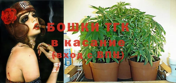 spice Богородск