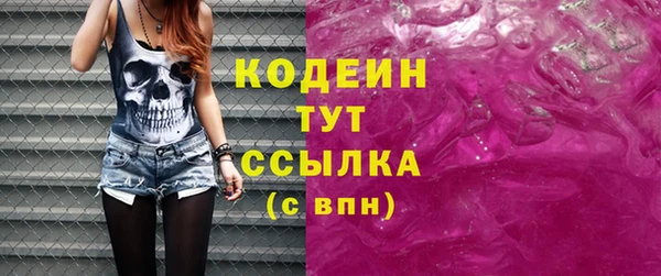 spice Богородск